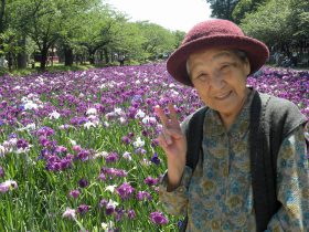 菖蒲28-02