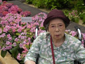 紫陽花28-25