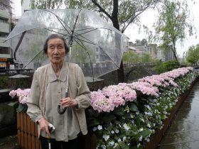 紫陽花28-01