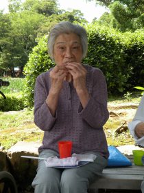 菖蒲28-76