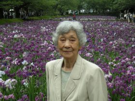 菖蒲28-35