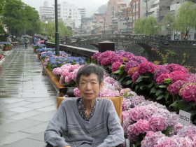 紫陽花28-34