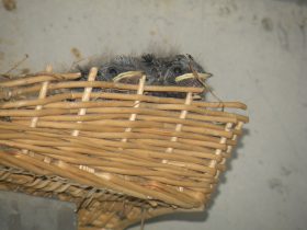 DSCN7369