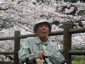 花見1-56