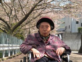花見1-93