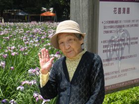 大村菖蒲29-31