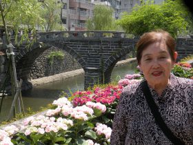 紫陽花29-11